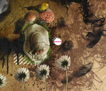 自动攻击网站工具下载